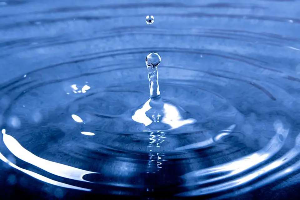 Five easy ways to save water this season
